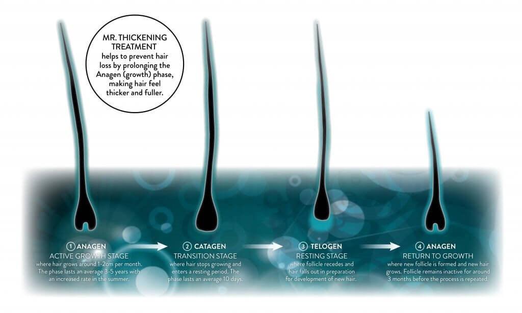 Hair loss subscription UK
